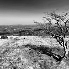 2025-04-09 Buckfastleigh - Scorriton #8
