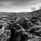 2025-04-10 Widecombe - Postbridge #2