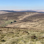 2025-04-10 Widecombe - Postbridge #6