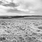 2025-04-12 Postbridge - Princetown #3