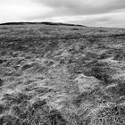 2025-04-12 Postbridge - Princetown #5