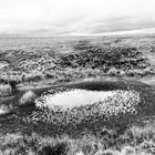 2025-04-14 Princetown - Cramber Tor #5