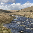 2025-04-16 Cornwood - The Dancers - Ugborough #4