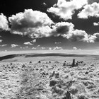 2025-04-16 Cornwood - The Dancers - Ugborough #6