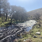 2025-04-16 Cornwood - The Dancers - Ugborough #7