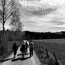 2026-04-27 Krinkelt - Herresbach #2