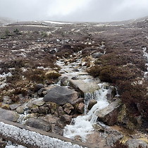 2026-05-05 Cairn Gorm #1