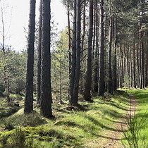 2026-05-06 Craig a' Chalamain - Castle Hill #1