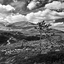 2026-05-06 Craig a' Chalamain - Castle Hill #3