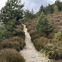 2026-05-07 Meach a' Bhuachaille - Creagan Gorm #3