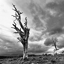 2026-05-07 Meach a' Bhuachaille - Creagan Gorm #7