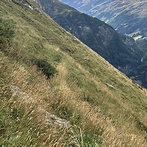 2026-09-05 Schareck #5