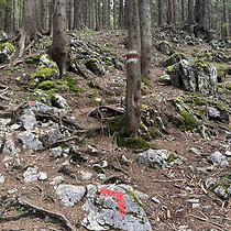 2026-09-13 Hochstaufen #1