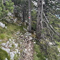 2026-09-13 Hochstaufen #2